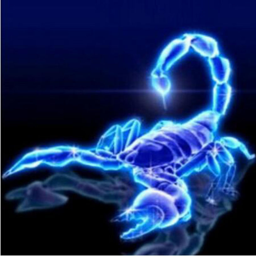 This image has an empty alt attribute; its file name is Blue-Scorpion.jpg